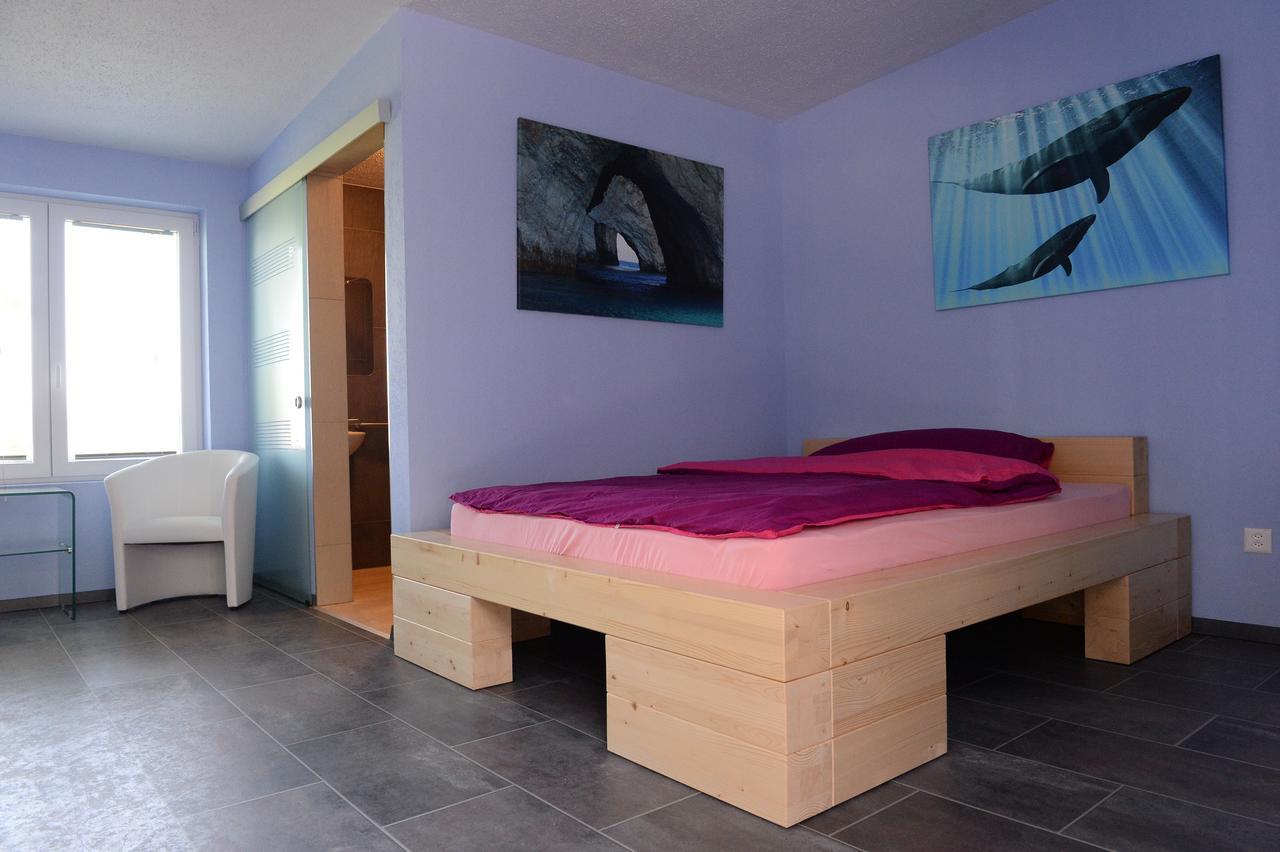 Hotel Belp Bern Airport Free Parking Kültér fotó